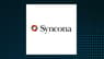 Syncona  Sets New 12-Month High  – Should You Buy?