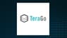 TeraGo  Stock Price Down 1.5%  – Here’s Why