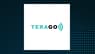 TeraGo Q4 Earnings Call Highlights