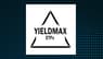 YieldMax AAPL Option Income Strategy ETF  Stock Price Up 0.5%  – Here’s What Happened