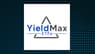 YieldMax PLTR Option Income Strategy ETF  Trading Down 4.5%  – Should You Sell?