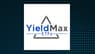 YieldMax Short COIN Option Income Strategy ETF  Stock Price Up 3.6%  – Here’s Why
