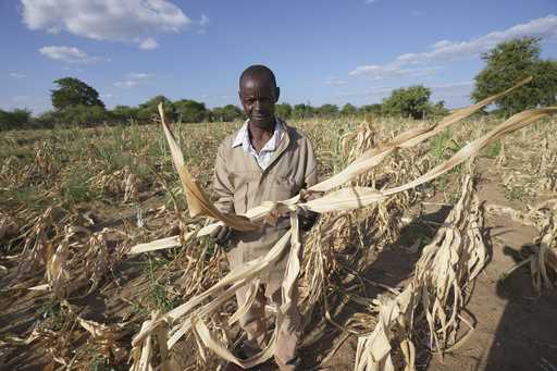 James Tshuma, a small scale farmer, holds a dried up maize crop in his field in Mangwe district, Zi…