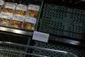 Packs of tomatoes on display next to a sign advising that there is a shortage of them due to bad we…