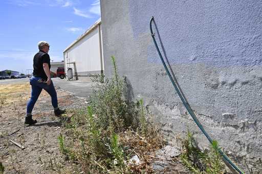 Code enforcement officer Jesalyn Harper walks past the garden hose which tipped her off to an illeg…