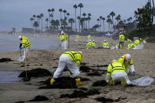 Workers in protective suits clean the contaminated beach in Corona Del Mar after an oil spill in Ne…