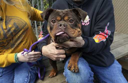 A newly adopted dog is held at Oakland Animal Services on Thursday, April 4, 2024, in Oakland, Cali…