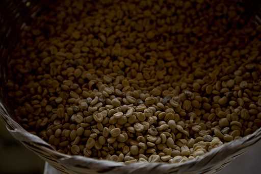Arabica coffee beans harvested the previous year are stored at a coffee plantation in Ciudad Vieja,…