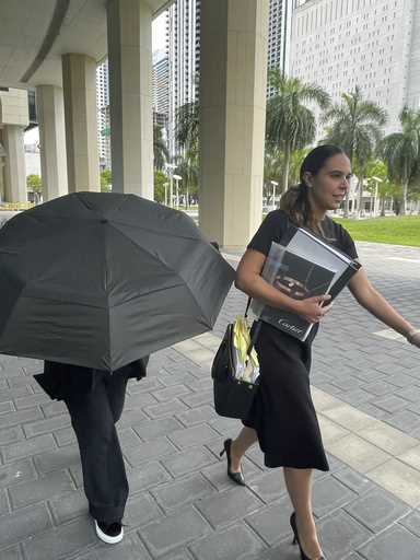 Celebrity handbag designer Nancy Gonzalez hides under an umbrella as she walks with her lawyer Andr…