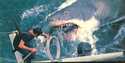 This image released by Peacock shows Roy Scheider in a scene from "Jaws