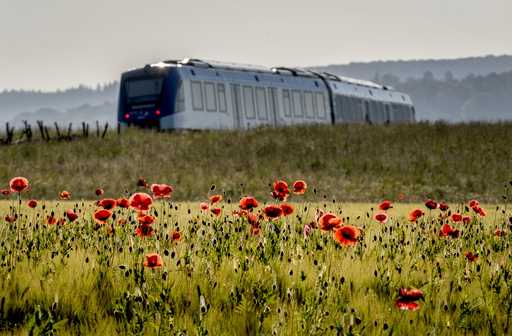 A hydrogen train passes a field with poppy flowers in the Taunus region near Frankfurt, Germany, We…