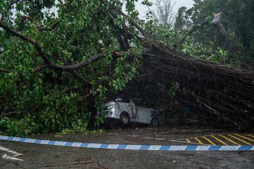 A vehicle sits damaged by fallen trees following the Typhoon Wipha, in Hong Kong, Sunday, July 20, …