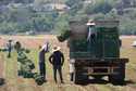 Farm workers gather produce on Thursday, June 12, 2025, in Moorpark, Calif
