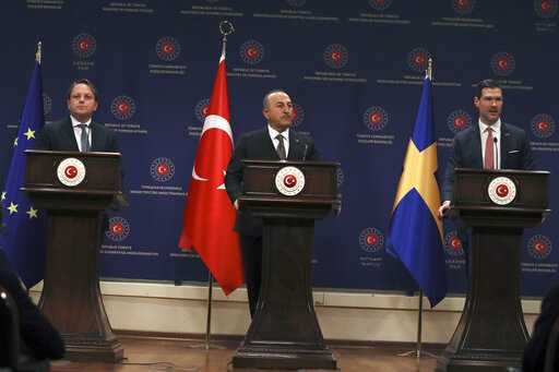 Mevlut Cavusoglu, Oliver Varhelyi, Johan Forssell
