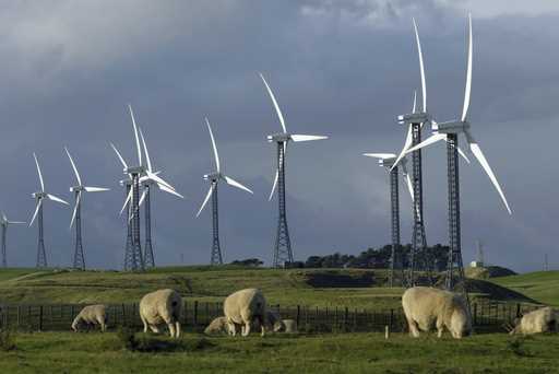 Sheep graze near wind turbines at the Trust Power's Tararua Windfarm near Palmerston North, New Zde…