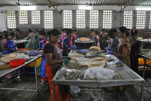 Workers peel shrimp in a tin-roofed processing shed in the hamlet of the Tallarevu, in Kakinada dis…
