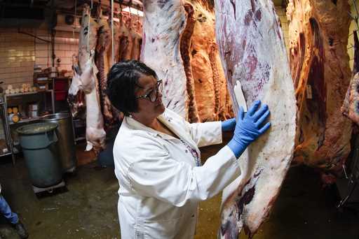 File - Stacey Richard checks sides of beef hanging in the refrigerated butchering section at the Wr…