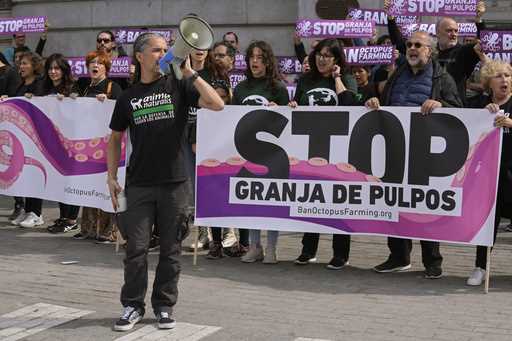 Animal rights activists gather to protest outside the Agriculture Ministry in Madrid, Spain, Sunday…