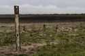 A water meter stands in a dry wetland in Donana natural park, southwest Spain, October 19, 2022