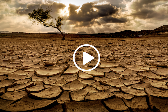 image for Market Wizard who predicted all indexes would be negative in 2022 shares shocking new forecast: