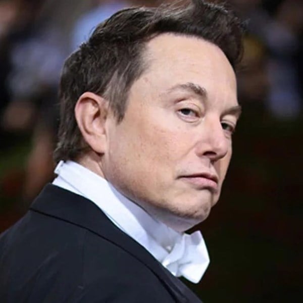 The Elites Are Waging War on Elon Musk — Here's Why…