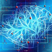 This is the Exact Moment the AI Boom Will End