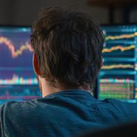 This coin has everything going for it