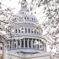 The 61-year-old "Tax" ends July 13