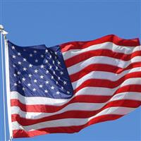 7 employees and a Pentagon contract