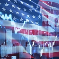 One coin wired into Elon's vision