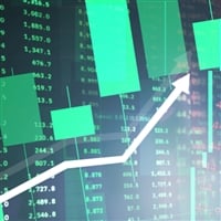 One coin wired into Elon's vision