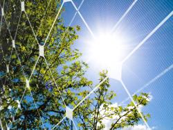 7 Solar Stocks Leading the Clean Energy Boom