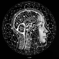 image for The only AI company you should be looking at