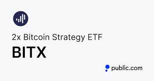 2x Bitcoin Strategy ETF stock logo