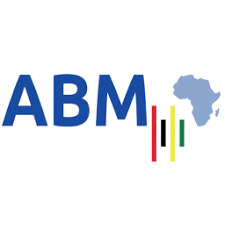 African Battery Metals