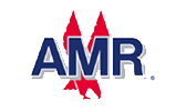 American Airlines Group Inc. stock logo