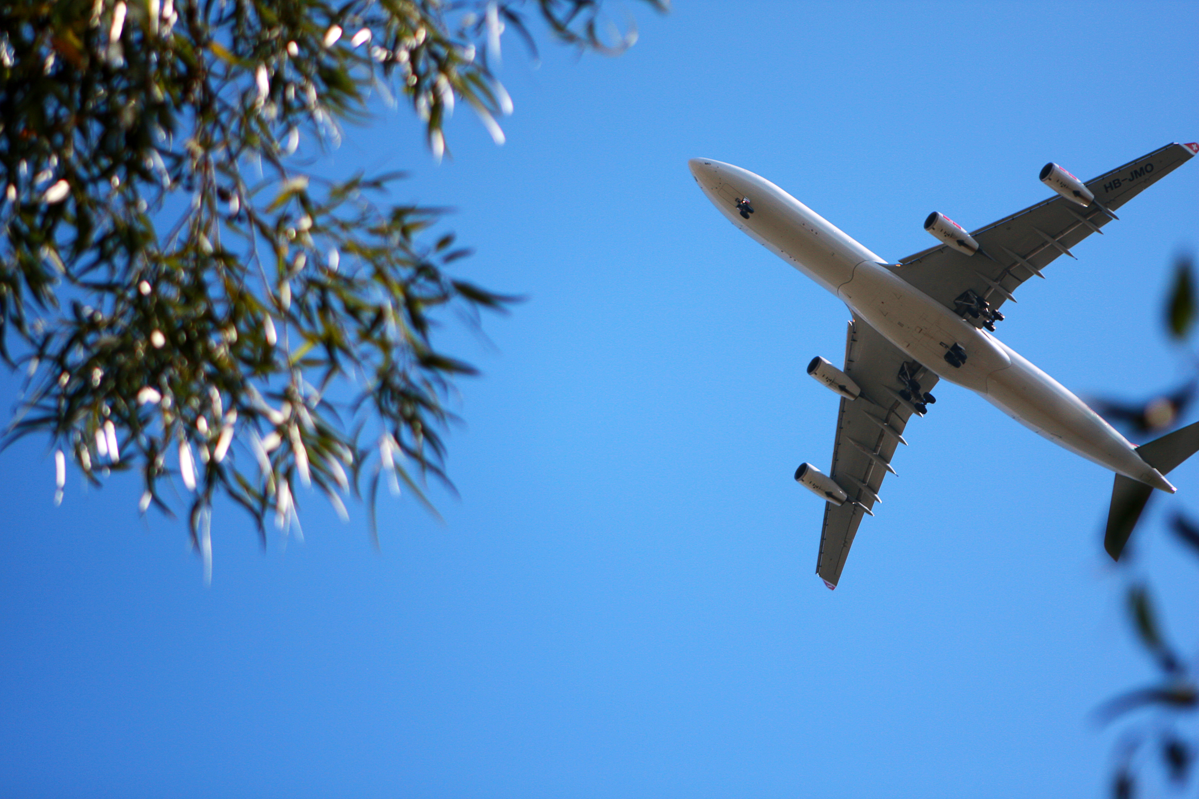 3 reasons airline stocks are a buy right now