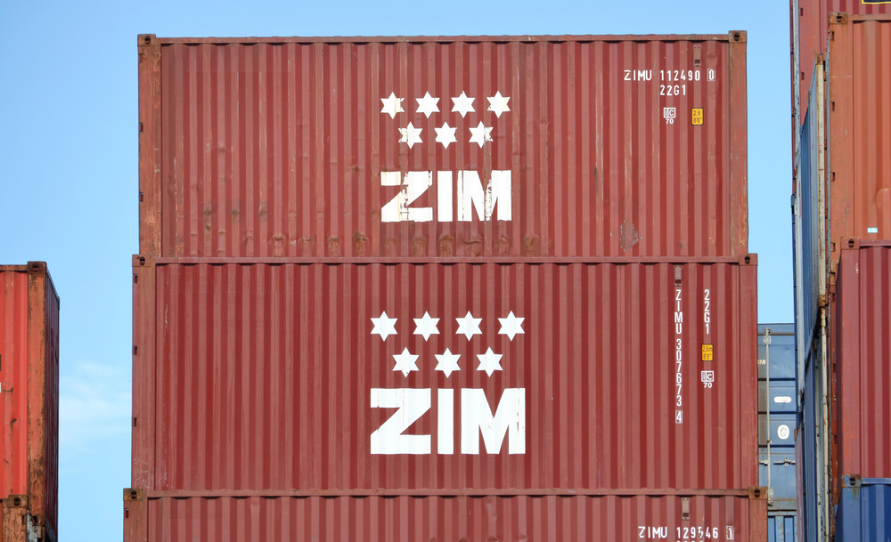 ZIM Shipping Stock Forecast 