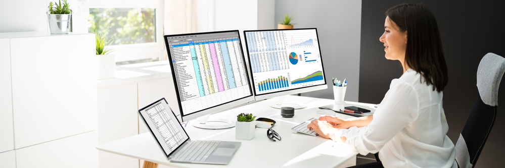 invoice financial analysis spreadsheet on computer screen