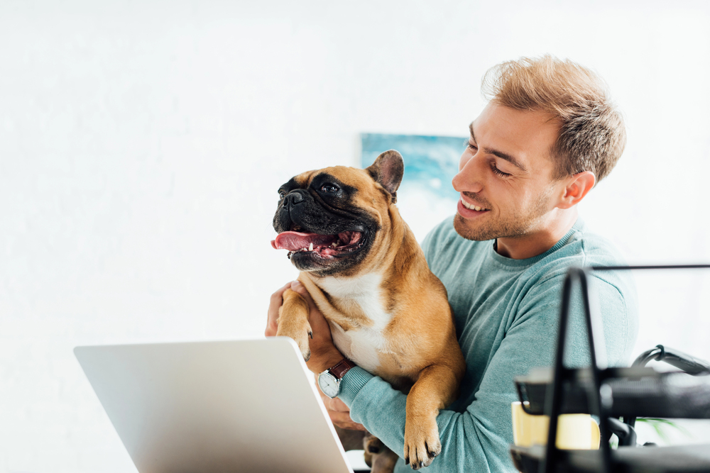 Smiling man holding french bulldog while working on laptop