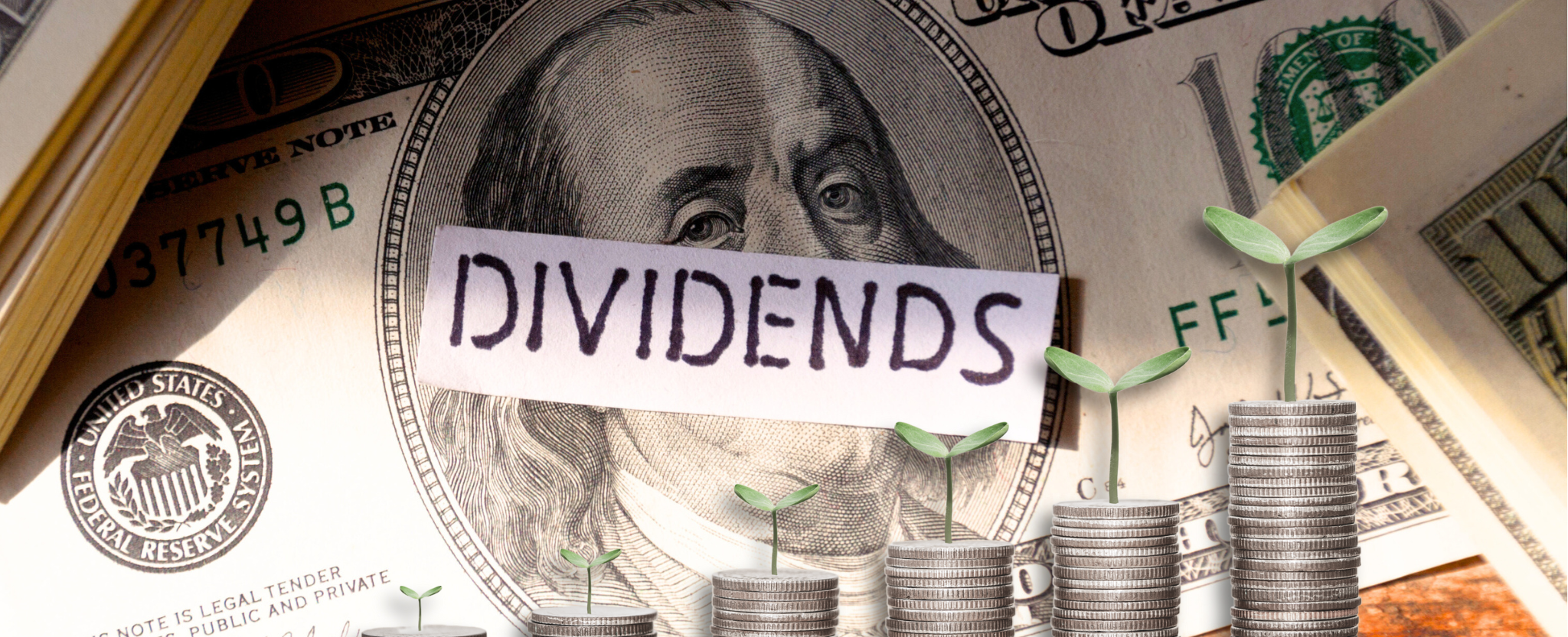 Dividend growth for 2025