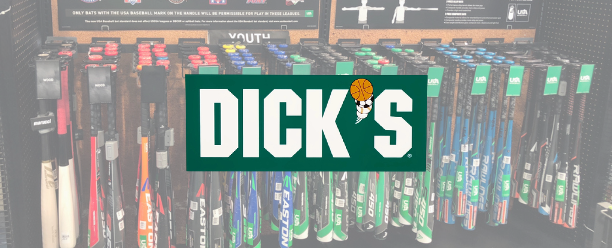 Dick's Sporting Goods