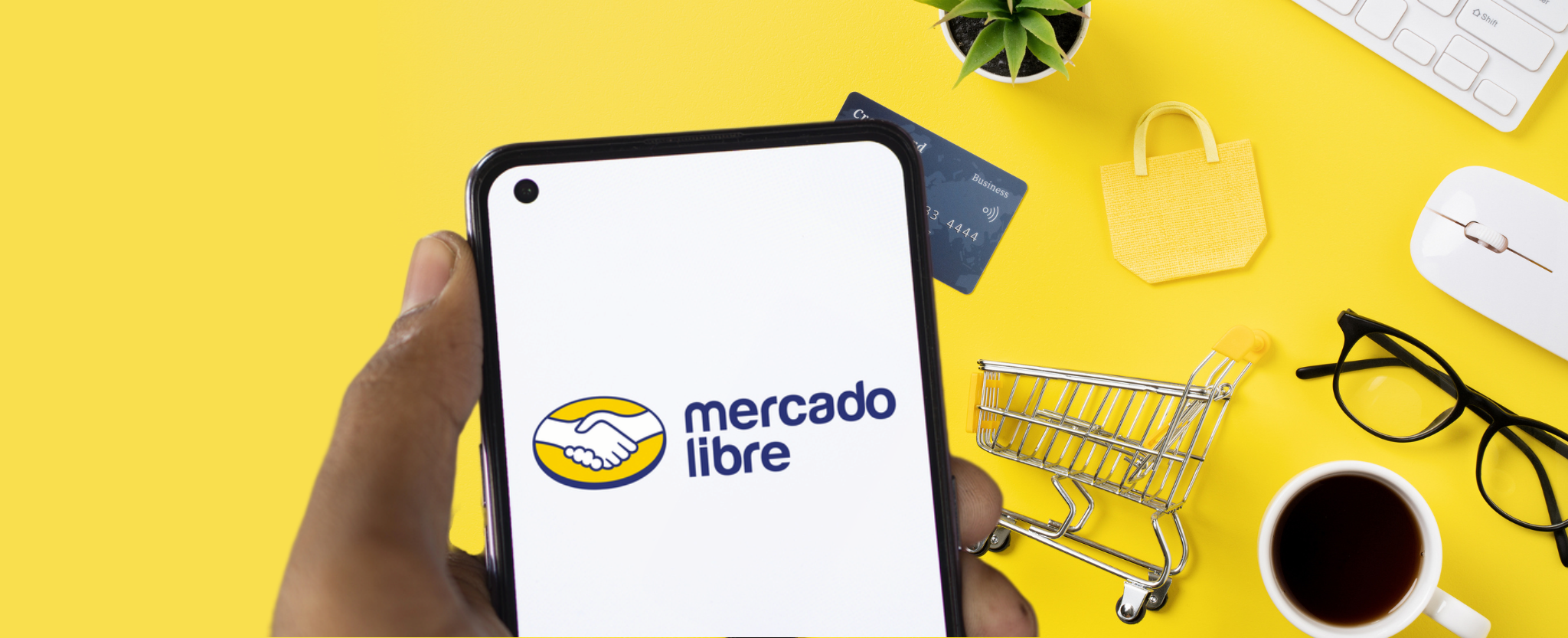 MercadoLibre eCommerce shopping
