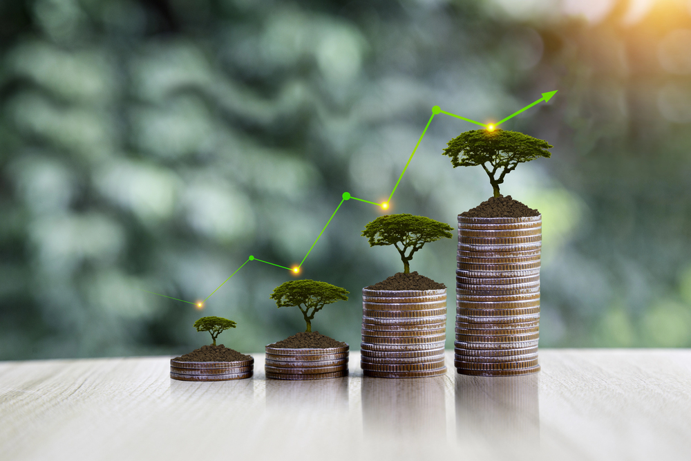 Invest concept. Green tree growing on gold coins. Growing power of compound interest. Prosperous stock investment. Savings. Financial graph showing inflation. stock market chart growth investment. — Photo