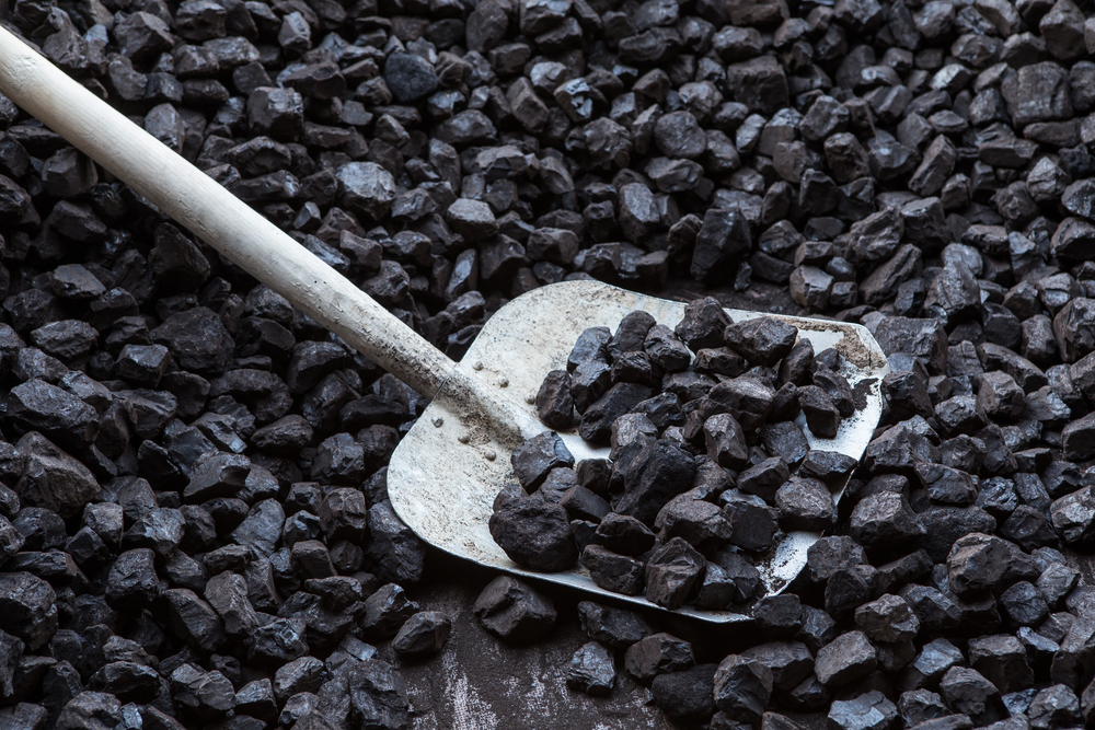 Coal 