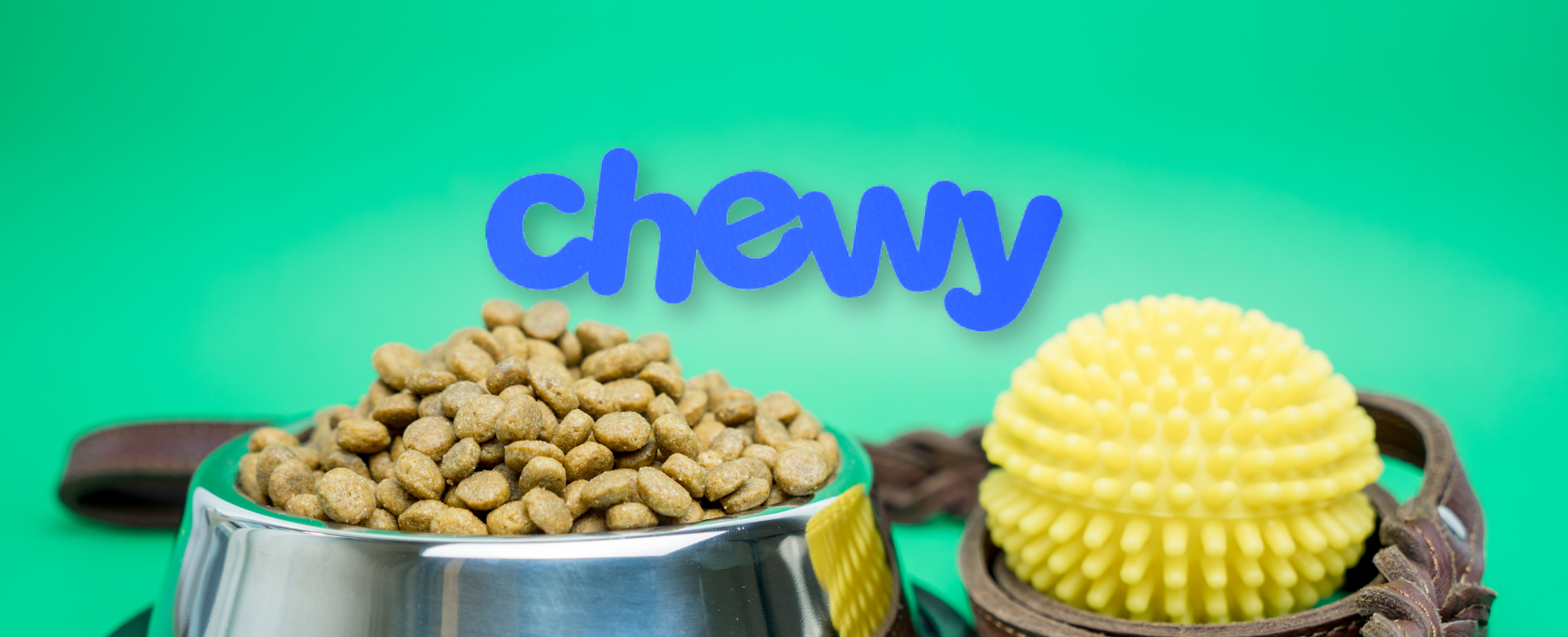 Chewy pet supplies