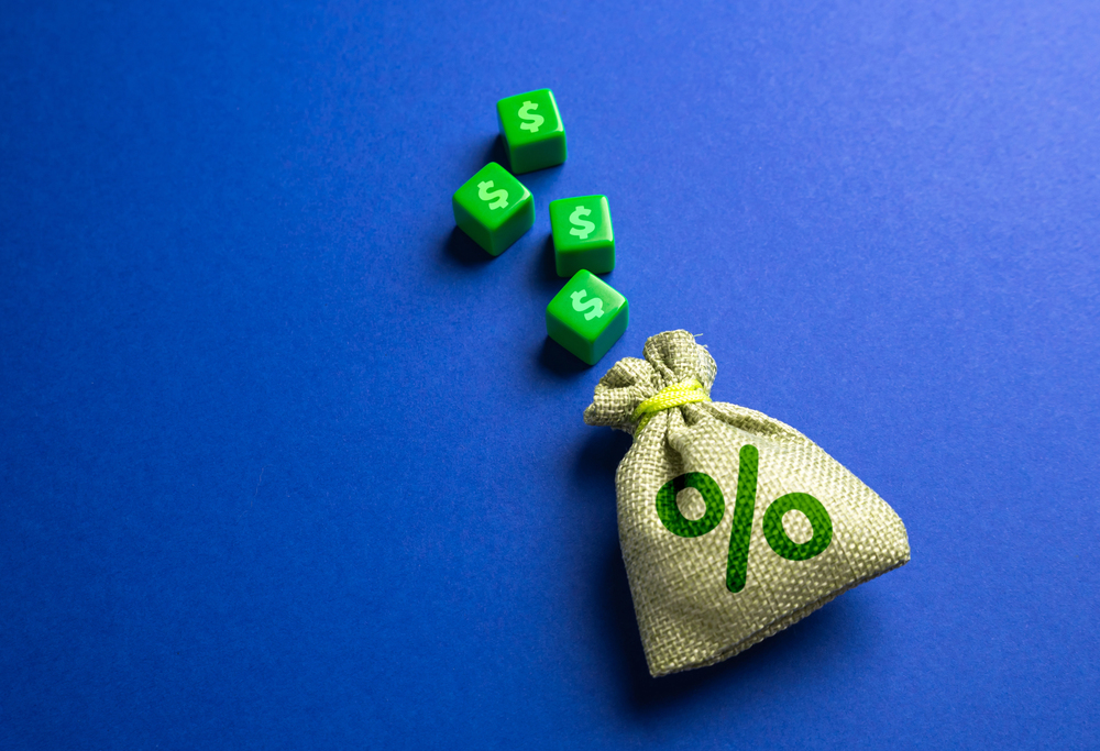 Money bag with interest and blocks with dollar symbols. Concept of deposits and loans. Earn on deposits. Dividends