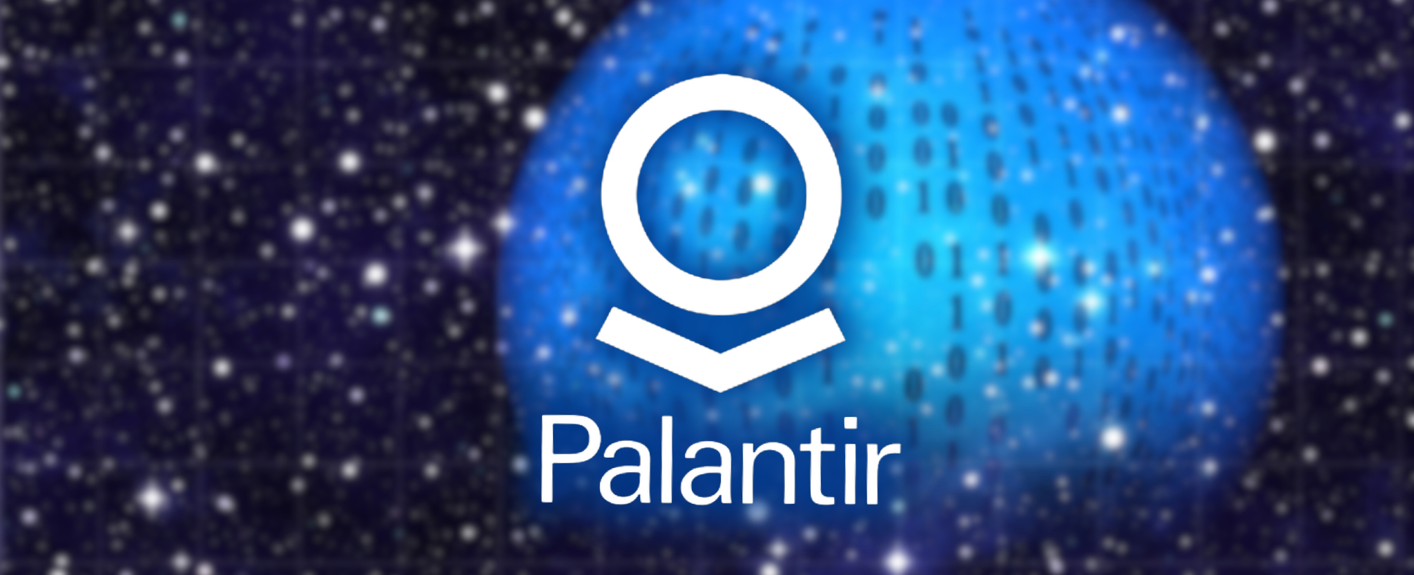Palantir software as a service