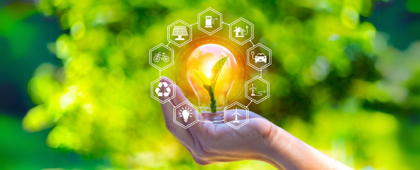Concept eco earth day. green tree growing in a light bulb on the background blurred image of green leaves and there is a golden light in the morning. energy saving and environmental protection.