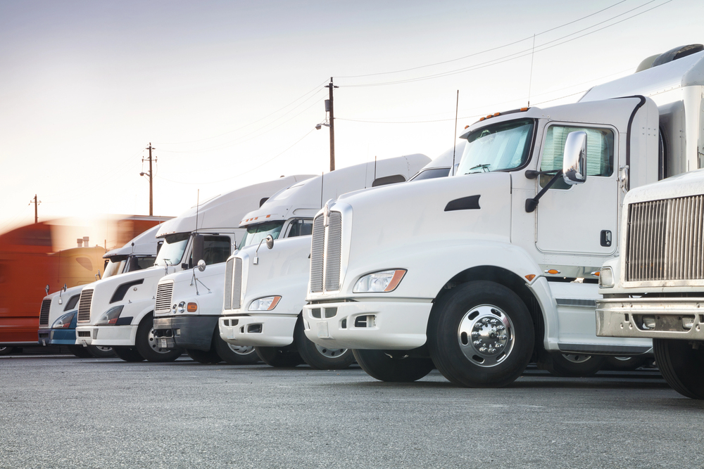 Different american trucks in a row — Photo